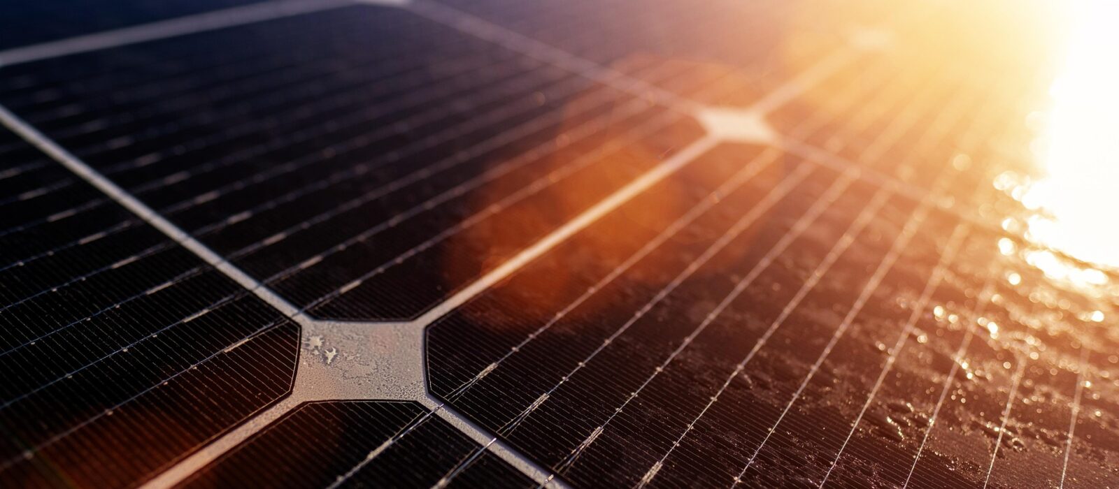 Solarpanel wird von Sonne beschienen